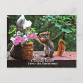 Rosh Hashanahはギフトを梳きます シーズンポストカード (正面)