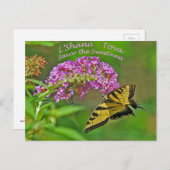 Rosh Hashanahはギフトを梳きます シーズンポストカード (正面/裏面)