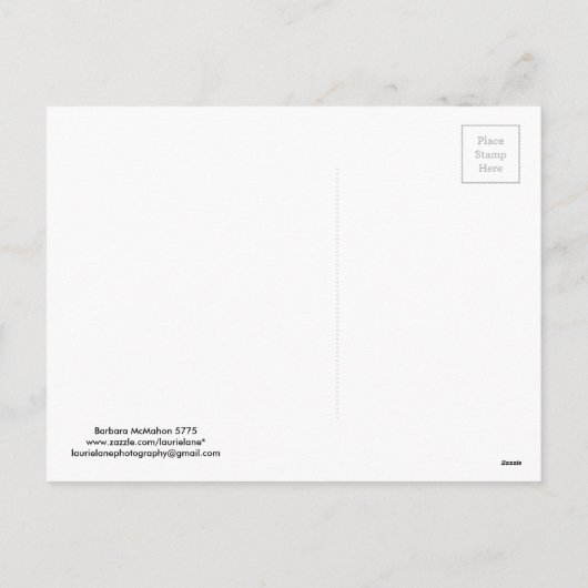 Rosh Hashanahはギフトを梳きます シーズンポストカード (裏面)