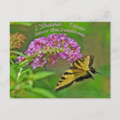 Rosh Hashanahはギフトを梳きます シーズンポストカード (正面)