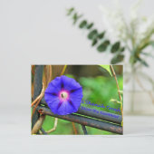 Rosh Hashanahカードギフト シーズンポストカード (スタンド正面)