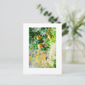 Rosh Hashanah, G'Mar Chatima Tova, Yom Kippur 5785 シーズンポストカード (スタンド正面)