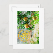 Rosh Hashanah, G'Mar Chatima Tova, Yom Kippur 5785 シーズンポストカード (正面/裏面)