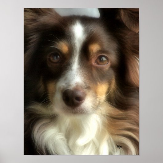 Rosie – クローズアップ ポスター (正面)