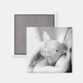 Rosie Photo Magnet マグネット (正面/裏面)