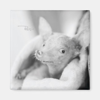 Rosie Photo Magnet マグネット