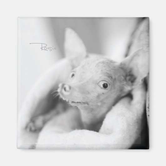 Rosie Photo Magnet マグネット (正面)