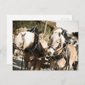 RÖSSER BEI HAAGER HERBSTFEST EINZUG ポストカード (正面/裏面)