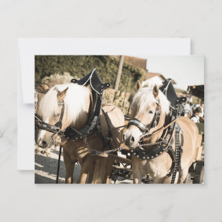 RÖSSER BEI HAAGER HERBSTFEST EINZUG ポストカード