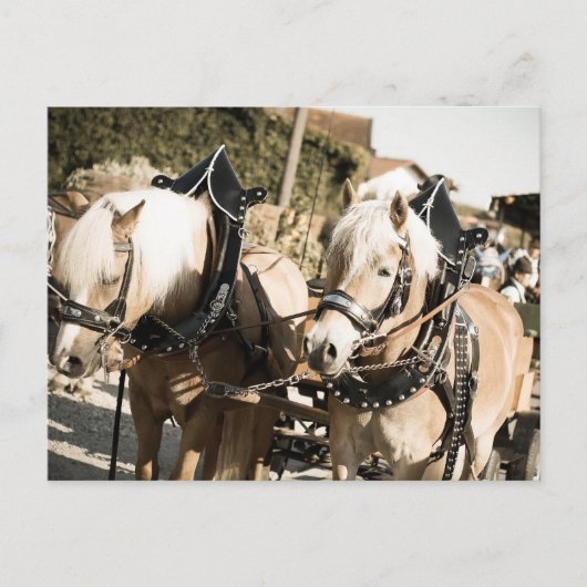 RÖSSER BEI HAAGER HERBSTFEST EINZUG ポストカード (正面)