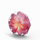 Rosyフォトブロック フォトブロック (右)