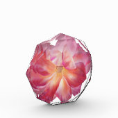 Rosyフォトブロック フォトブロック (左)