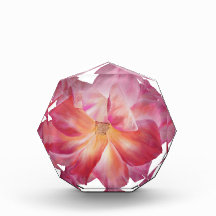 Rosyフォトブロック