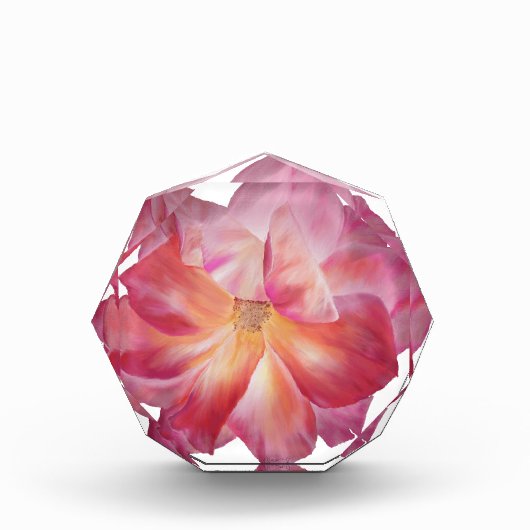 Rosyフォトブロック フォトブロック (正面)