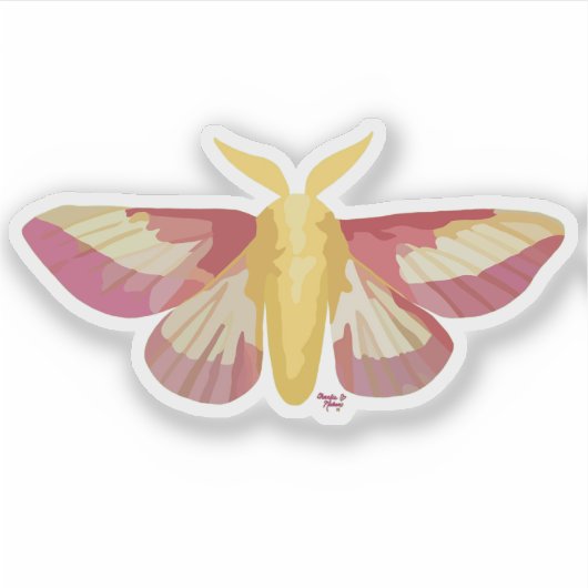 Rosy Maple Moth Sticker シール (正面)