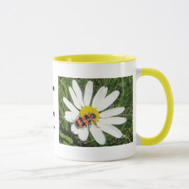 Rot-schwarzer Kafer auf weisser Margerite、Tasse マグカップ