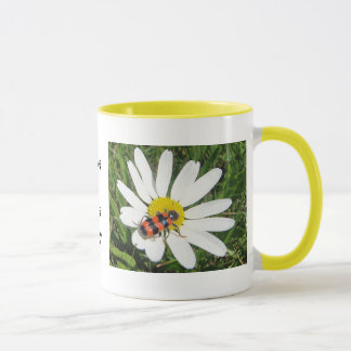 Rot-schwarzer Kafer auf weisser Margerite、Tasse マグカップ