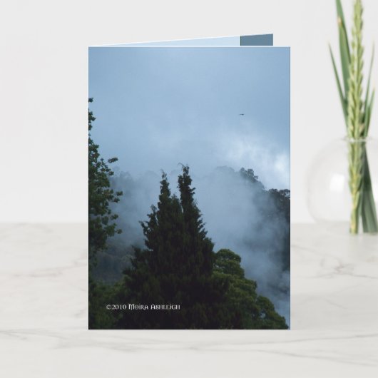 Rotaruaの朝 カード (正面)