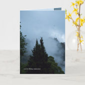 Rotaruaの朝 カード (黄色い花)