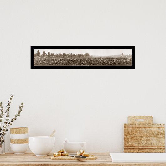 ROTC Fort Myer WWI写真1917 ポスター (キッチン)