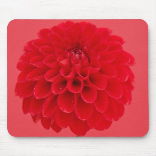 rote Dahlie マウスパッド (正面)