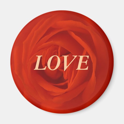 Rote Rose der Liebe マグネット (正面)