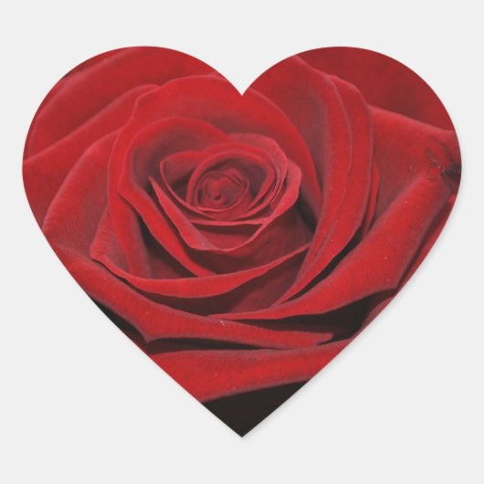 Rote Rose - Herzförmige Aufkleber ハートシール (正面)