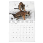 Rote Tiger als Kalender カレンダー (1月 2027)