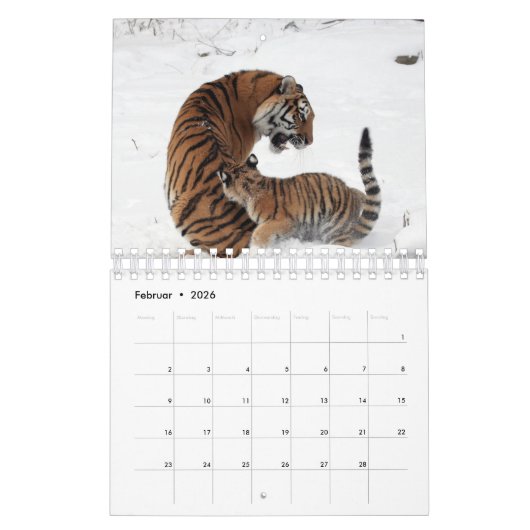 Rote Tiger als Kalender カレンダー (2月 2026)