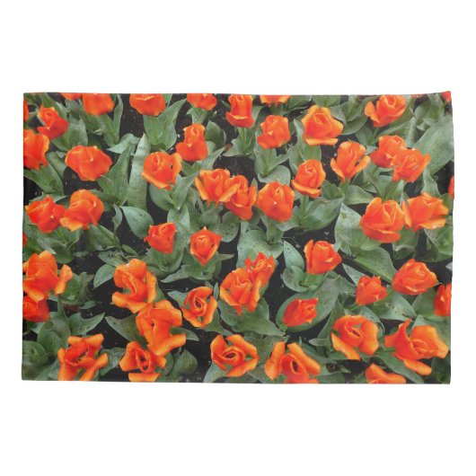 Rote Tulpen 枕カバー (裏面)