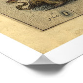 Rotelius 1570によるスカンダナビアの地図 ポスター (角)