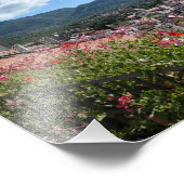 Rotonda全体を表示 フォトプリント (角)