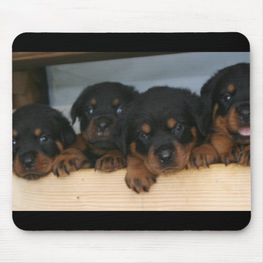 rottieの子犬 マウスパッド (正面)