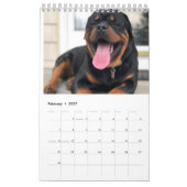 Rottweiler Calendar  カレンダー (2月 2027)