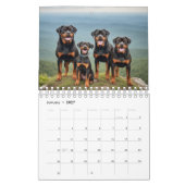 Rottweiler Dogs Wall Calendar 2026 カレンダー (1月 2027)