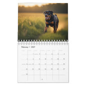 Rottweiler Dogs Wall Calendar 2026 カレンダー (2月 2027)