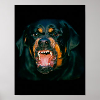 Rottweiler funny poster ポスター