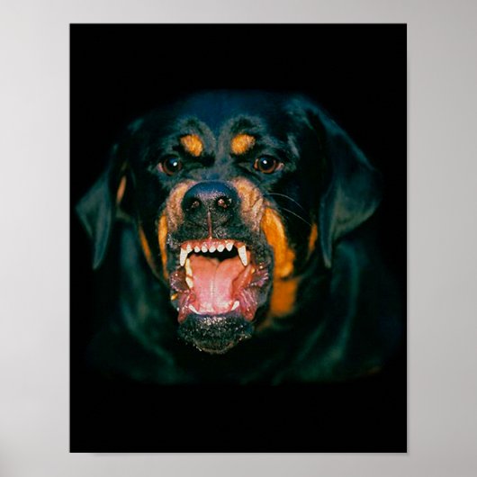 Rottweiler funny poster ポスター (正面)