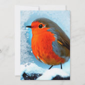 Rouge gorge サンキューカード (正面)