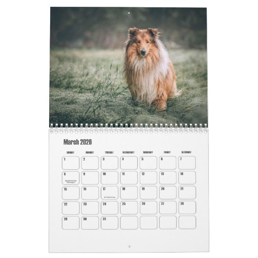 Rough Collie Calendar カレンダー (3月 2026)