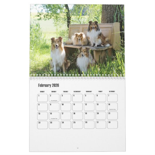 Rough Collie Calendar カレンダー (2月 2026)