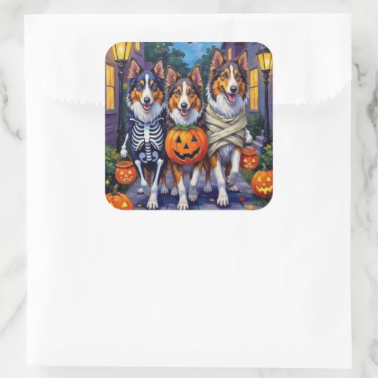 Rough Collie Trick-or-Treating Halloween Costumes スクエアシール (バッグ)