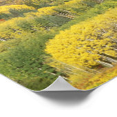 Routt National Forest in Autumn color, near ポスター (角)