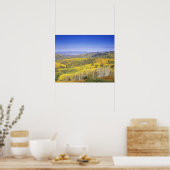 Routt National Forest in Autumn color, near ポスター (キッチン)