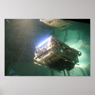 ROV EdVard ポスター