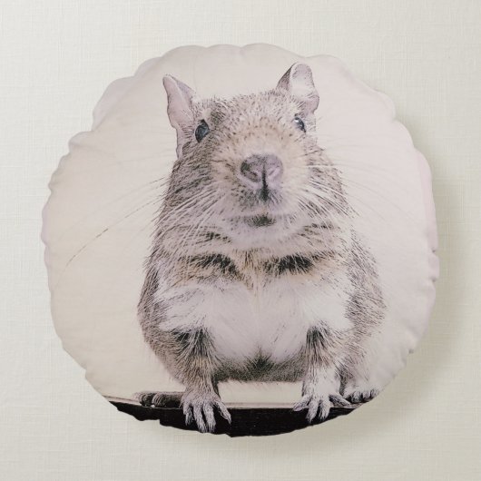 ⊿Rovers⊿ Rodent world　～癒しの小動物～ ラウンドクッション (正面)