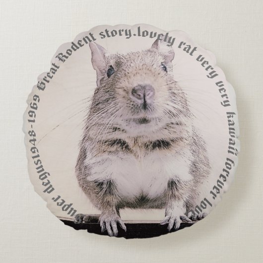⊿Rovers⊿ Rodent world ~癒しの小動物~No.2 ラウンドクッション (正面)