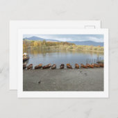 Row Boats of Derwentwater: Lake District ポストカード (正面/裏面)