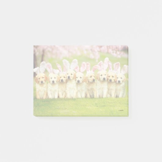 Row of Puppy Bunnies ポストイット (正面)