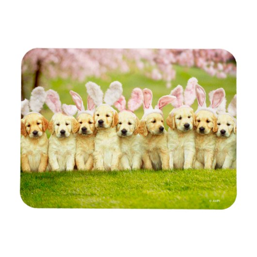 Row of Puppy Bunnies マグネット (横)
